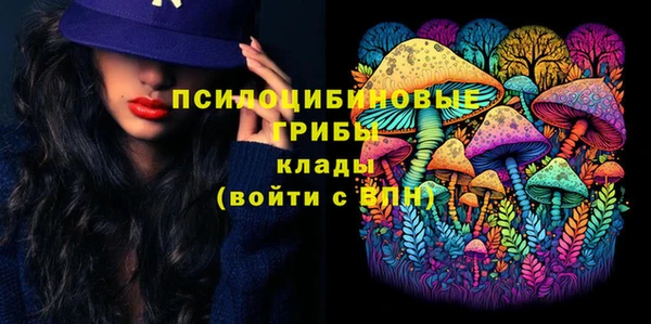винт Семилуки