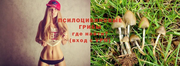 ПСИЛОЦИБИНОВЫЕ ГРИБЫ Армянск