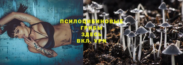 метадон Арсеньев